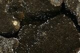 Septarian Dragon Egg Geode - Black & Brown Crystals #183141-1